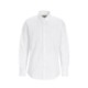 Picture of OXFORD SHIRT with Button Down Collar