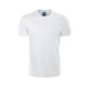 Picture of TEE SHIRT in 100% Cotton, Colour -10 & -17 in Interlock