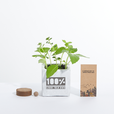 Picture of SMALL CONCRETE GROW KIT