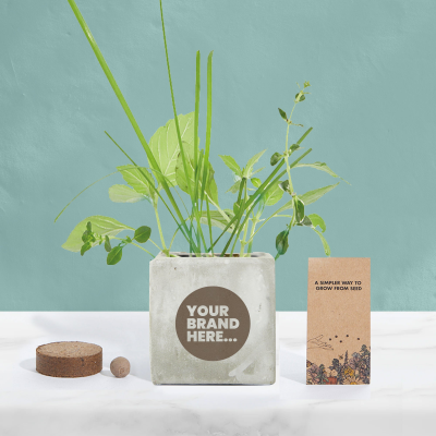 Picture of GROW KIT in Marble Concrete Pot Printed