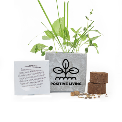 Picture of GROW KIT 6CM CONCRETE POT