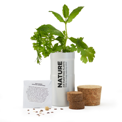 Picture of WILD FLOWERS DESKTOP GARDEN