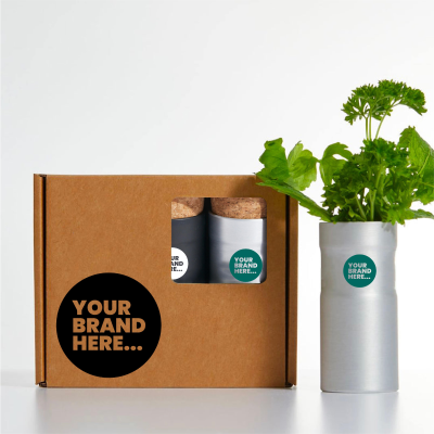 Picture of DESKTOP GARDEN BOX OF THREE