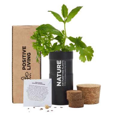 Picture of MIXED HERBS DESKTOP GARDEN - PRINTED BOX