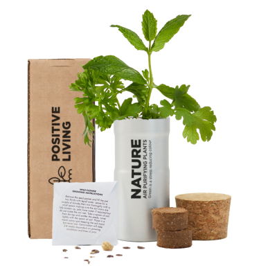 Picture of WILD FLOWERS DESKTOP GARDEN - PRINTED BOX