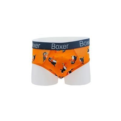 Picture of MENS BRIEFS.