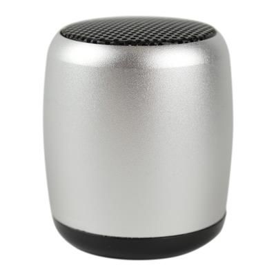 Picture of SMART EPIC SPEAKER.