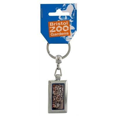 Picture of RECTANGULAR DOUBLE SIDED DELUXE CHAIN KEYRING.