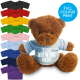Picture of PRINTED BROWN 18CM JAMES BEAR - BABY BLUE TEE SHIRT