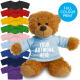 Picture of PRINTED 17CM ANNE BEAR - BABY BLUE TEE SHIRT
