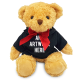 Picture of 18CM WILLIAM BEAR with Black Hoody