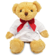 Picture of 18CM WILLIAM BEAR with Dressing Gown