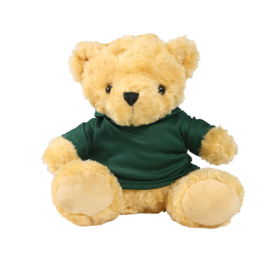 Picture of 19CM VICTORIA BEAR with Printed Green Hoody
