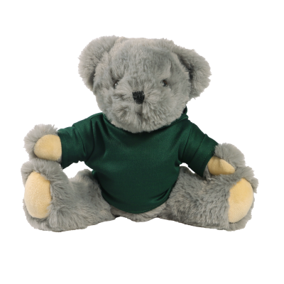 Picture of 20CM ARCHIE JOINTED BEAR with Printed Green Hoody