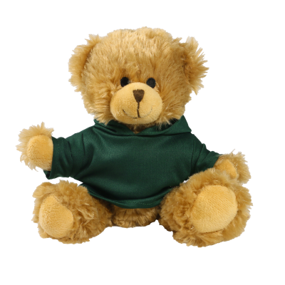 Picture of 20CM CHARLES JOINTED BEAR with Printed Green Hoody