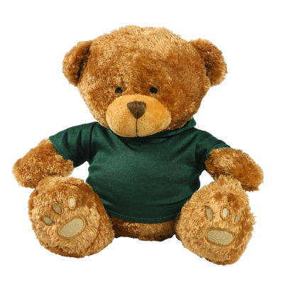 Picture of BROWN 22CM EDWARD BEAR with Printed Green Hoody