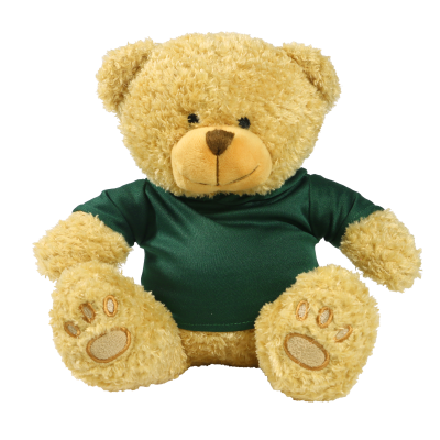 Picture of GOLDEN 22CM EDWARD BEAR with Printed Green Hoody