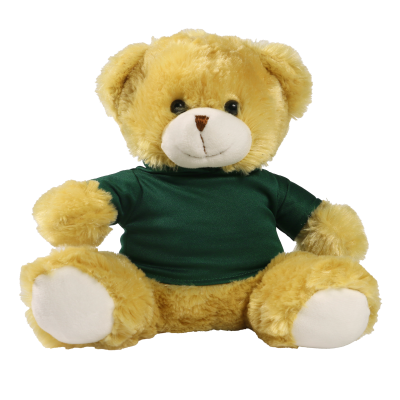 Picture of 25CM ELIZABETH BEAR with Printed Green Hoody