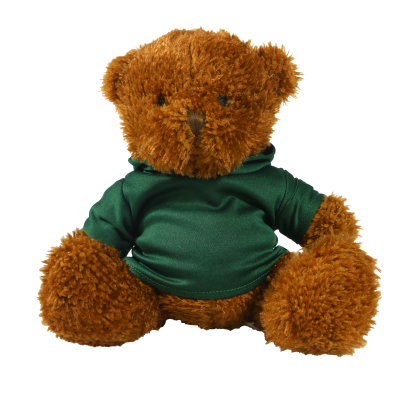 Picture of BROWN 18CM JAMES BEAR with Printed Green Hoody