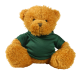 GOLDEN 18CM JAMES BEAR with Printed Green Hoody image 2