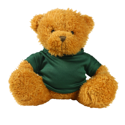Picture of GOLDEN 18CM JAMES BEAR with Printed Green Hoody