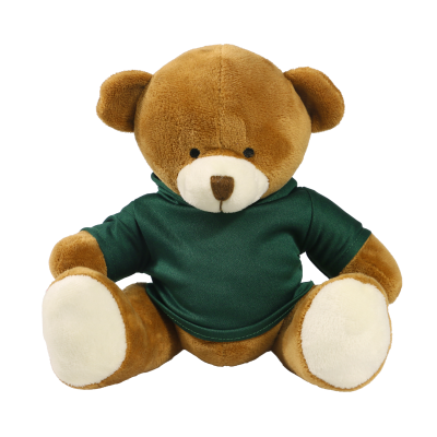 Picture of 20CM RICHARD BEAR with Printed Green Hoody