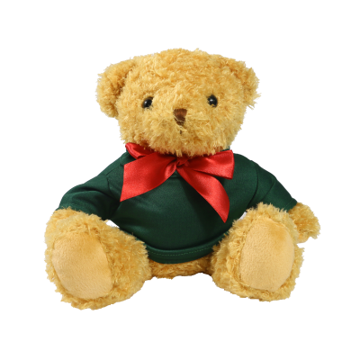 Picture of 18CM WILLIAM BEAR with Green Hoody