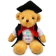 Picture of 18CM WILLIAM BEAR with Graduate Outfit with Elastic Cap