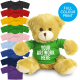 Picture of PRINTED 20CM ELIZABETH BEAR - GREEN TEE SHIRT