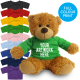 Picture of PRINTED 17CM ANNE BEAR - GREEN TEE SHIRT