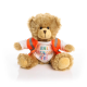 Picture of 20CM CHARLES JOINTED BEAR with Orange Hi-Vis Vest