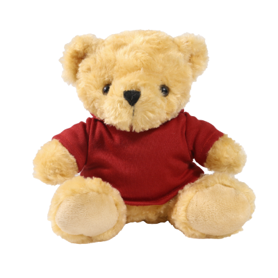Picture of 19CM VICTORIA BEAR with Printed Maroon Hoody