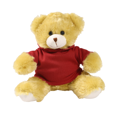 Picture of 20CM ELIZABETH BEAR with Printed Maroon Hoody