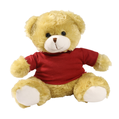 Picture of 25CM ELIZABETH BEAR with Printed Maroon Hoody