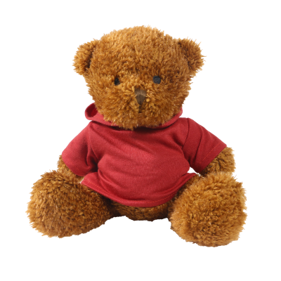 Picture of BROWN 18CM JAMES BEAR with Printed Maroon Hoody