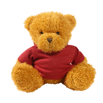 Picture of GOLDEN 18CM JAMES BEAR with Printed Maroon Hoody