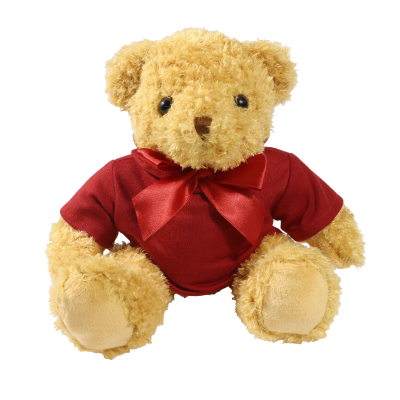 Picture of 18CM WILLIAM BEAR with Maroon Hoody