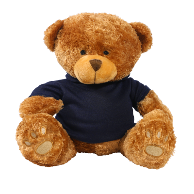 Picture of BROWN 22CM EDWARD BEAR with Printed Navy Blue Hoody