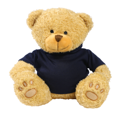 Picture of GOLDEN 22CM EDWARD BEAR with Printed Navy Blue Hoody