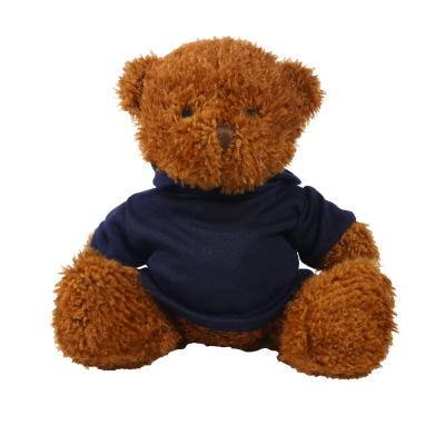 Picture of BROWN 18CM JAMES BEAR with Printed Navy Hoody