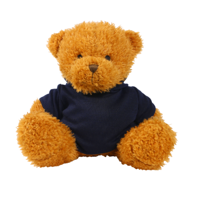Picture of GOLDEN 18CM JAMES BEAR with Printed Navy Hoody