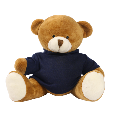 Picture of 20CM RICHARD BEAR with Printed Navy Blue Hoody
