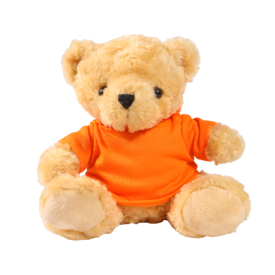 Picture of 19CM VICTORIA BEAR with Printed Orange Hoody