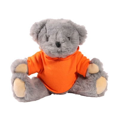 Picture of 20CM ARCHIE JOINTED BEAR with Printed Orange Hoody