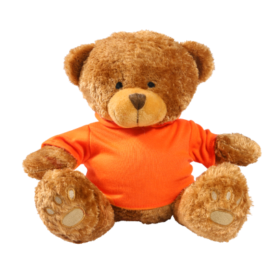 Picture of BROWN 22CM EDWARD BEAR with Printed Orange Hoody