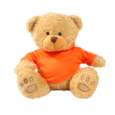 Picture of GOLDEN 22CM EDWARD BEAR with Printed Orange Hoody