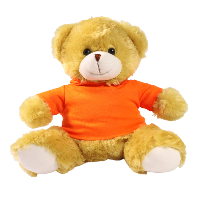 Picture of 25CM ELIZABETH BEAR with Printed Orange Hoody