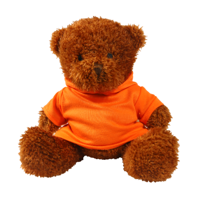 Picture of BROWN 18CM JAMES BEAR with Printed Orange Hoody