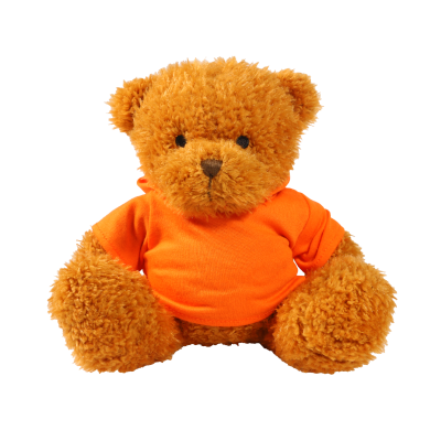 Picture of GOLDEN 18CM JAMES BEAR with Printed Orange Hoody