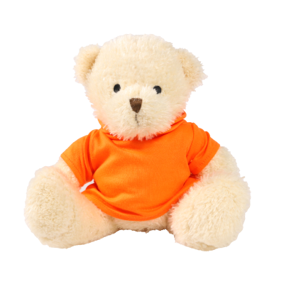 Picture of WHITE 18CM JAMES BEAR with Printed Orange Hoody
